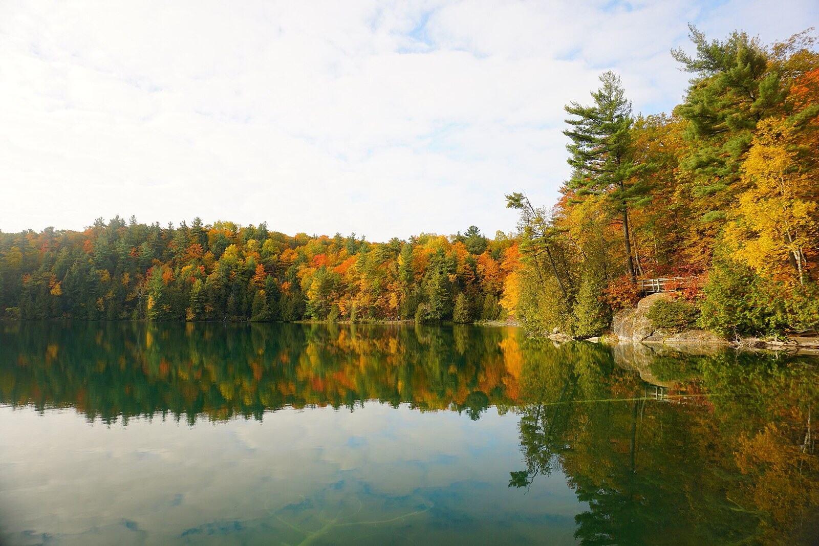 Pink Lake 粉红湖
