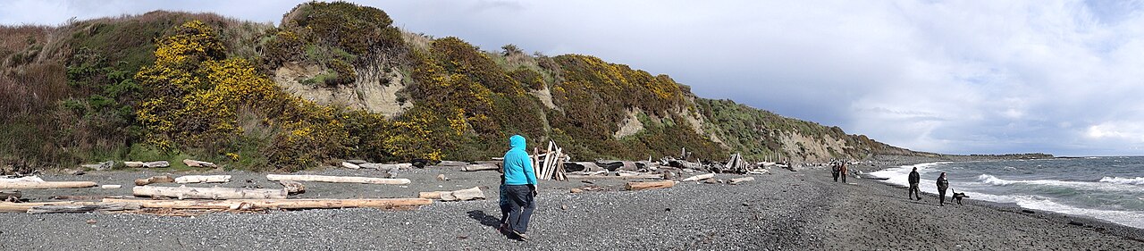 Dallas Road / Clover Point