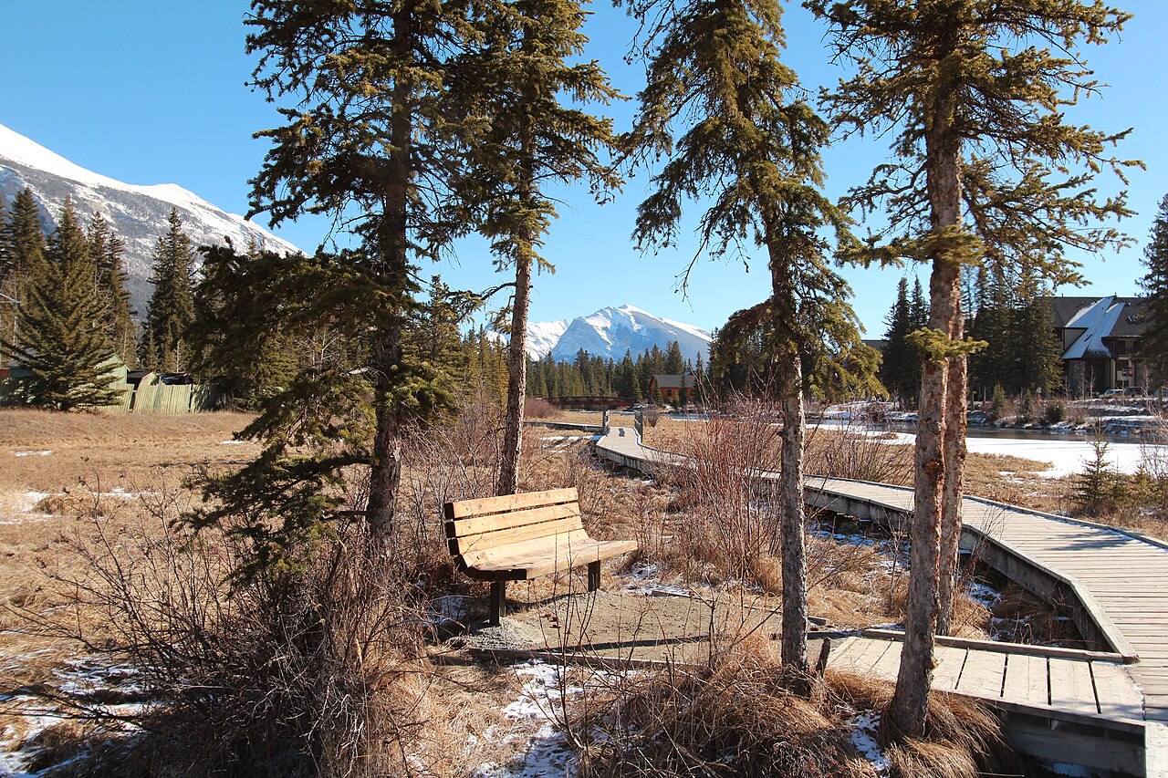 Policeman’s Creek Canmore